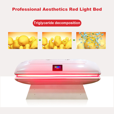 Photodynamic PDT Red Light Collagen Bed สำหรับการแกะสลักร่างกาย
