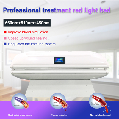 Suyzeko OEM Wellness Center LED Light Photodynamic Body Contouring 635nm 880nm Red Light Therapy Bed สำหรับใช้ในเชิงพาณิชย์